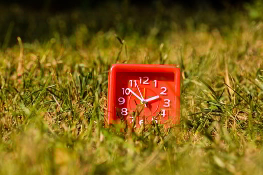 Clock in the grass photo