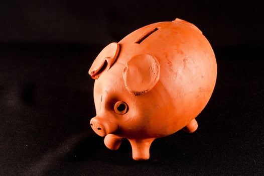 Piggy bank isolated photo