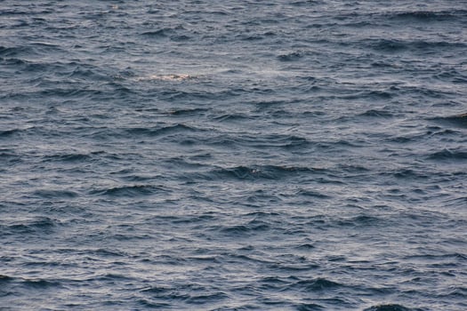 Waves in the ocean photo