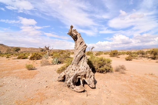 Scenic desert landscape photo
