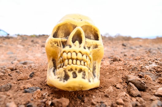 Plastic skull in the desert photo