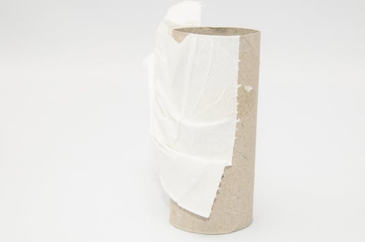 Empty toilet paper roll photo