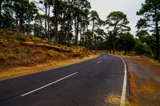 Road through the scenic landscape photo