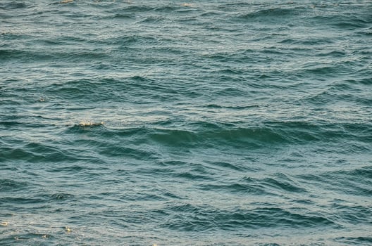 View of the sea photo