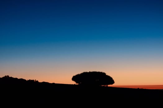 Colourful sky at sunset photo