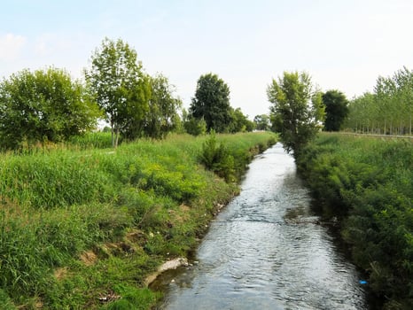 By the river photo