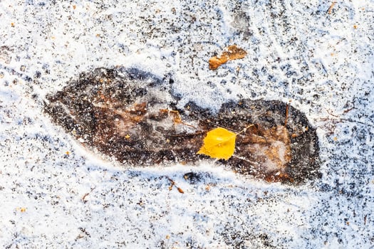 frozen footprint on path covered with snow photo