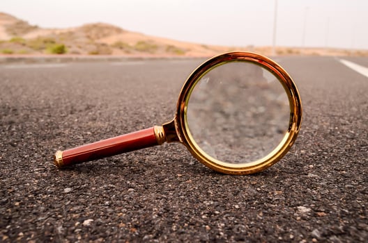 Magnifying glass on the roas photo