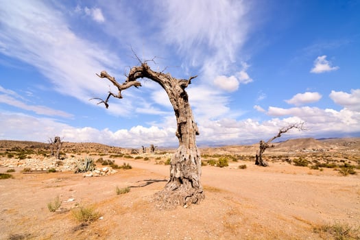 Scenic desert view photo