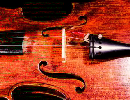 a close up of a violin on a black background photo