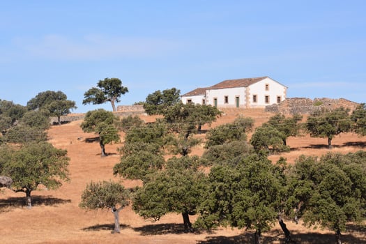Scenic rural landscape photo