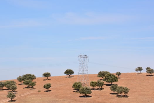 Scenic rural landscape photo