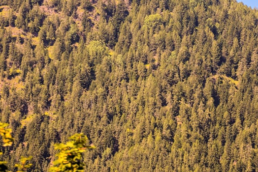 Scenic rural landscape photo