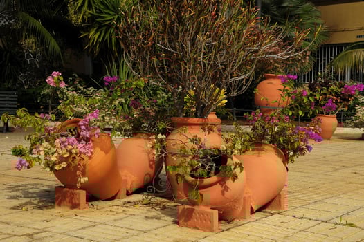 a group of pots with flowers in them photo
