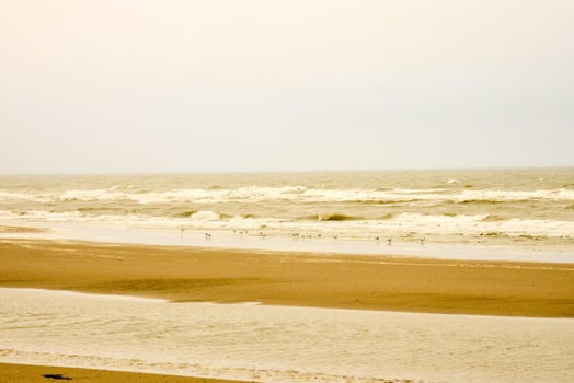 Scenic coastal view photo