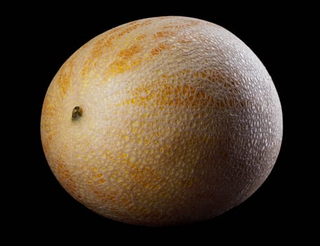 The yellow ripe melon is isolated on a black background. photo