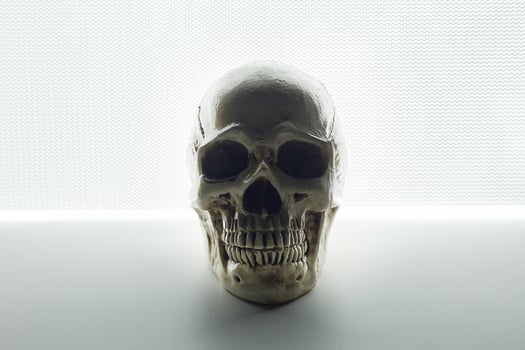 skull close up on glow light abstract  background . photo
