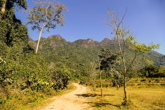 Rural landscape in East Asia photo