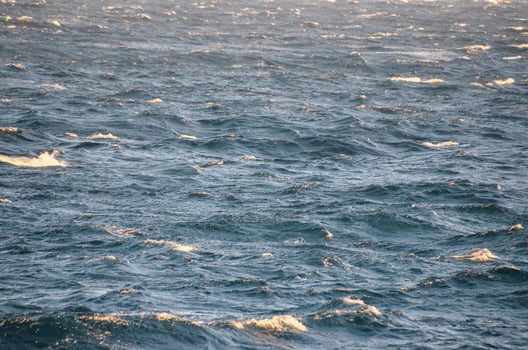 Sea with waves photo