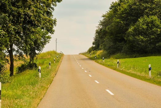 a long empty road with a few trees and grass photo