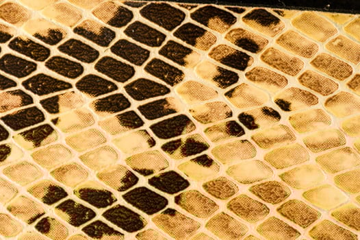 a snake skin texture photo