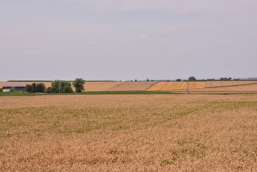 Scenic rural landscape photo
