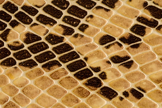 a snake skin texture with brown spots photo