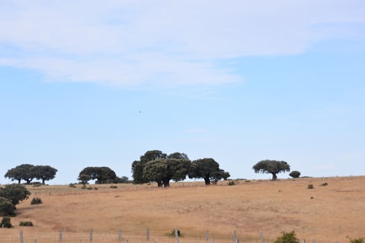 Scenic rural landscape photo