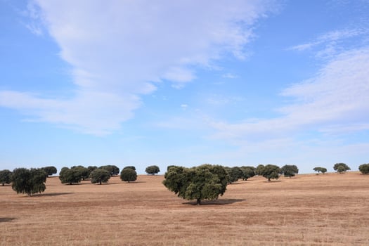 Scenic rural landscape photo