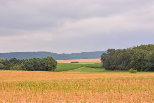 Scenic rural landscape photo