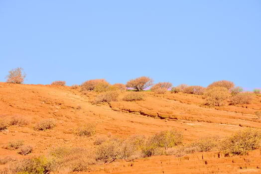Scenic rural landscape photo