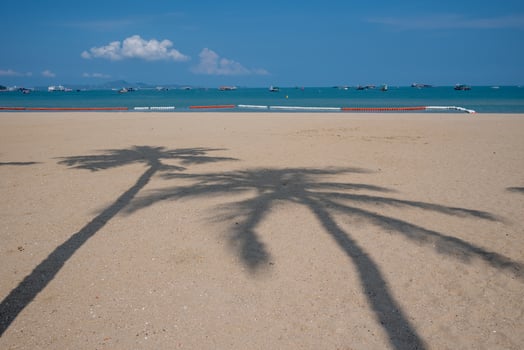 Beach on the afternoon time. City and building on the far side. Coconut tree shadow lay on beach. photo