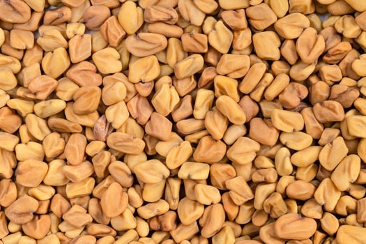 background - many whole fenugreek seeds photo
