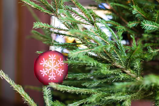ornaments on twigs of Christmas Tree and TV set photo