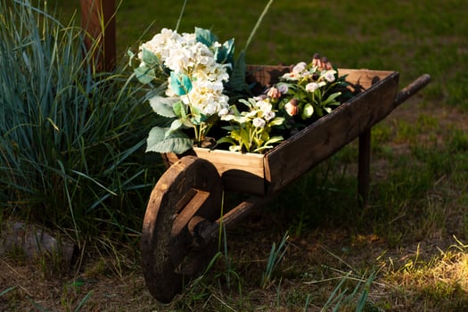 Photo a wooden cart with plants and flowers.