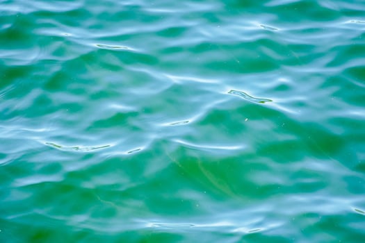 water ripples on the surface of the water photo