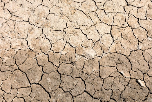 a close up of a cracked dry ground photo