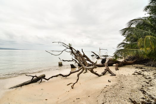 Scenic coastal view photo