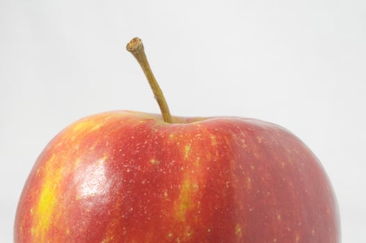 an apple is shown on a white background photo