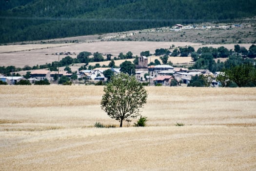 Scenic rural landscape photo