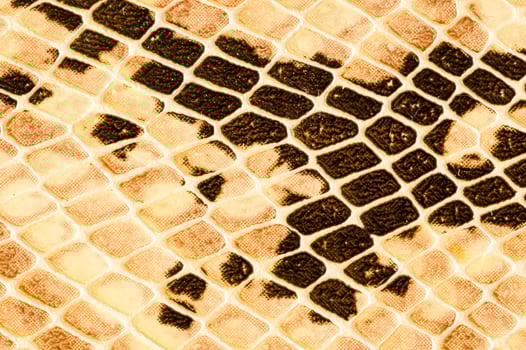a snake skin texture with black and white spots photo