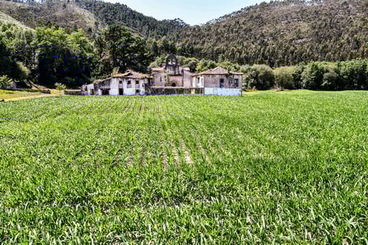 Scenic rural landscape photo