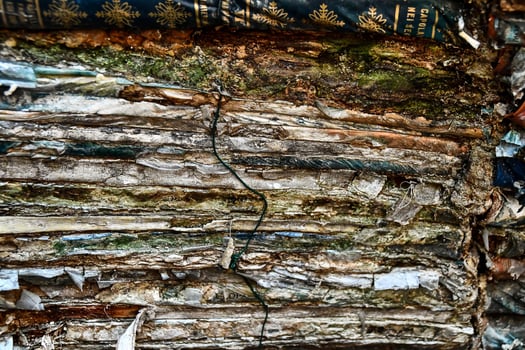 a pile of ruined books photo