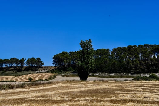 Scenic rural landscape photo