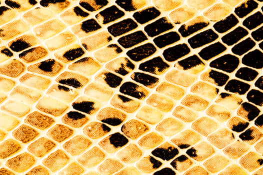a snake skin texture with black and yellow spots photo