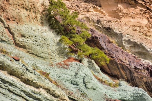 Rock texture background photo