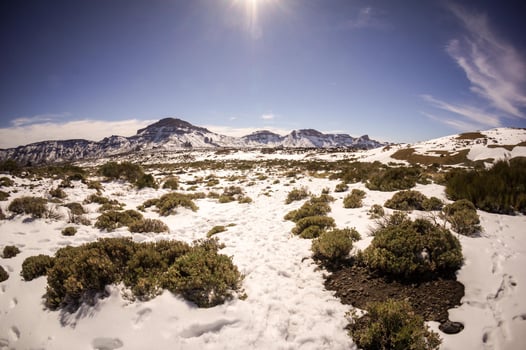 Scenic rural landscape photo