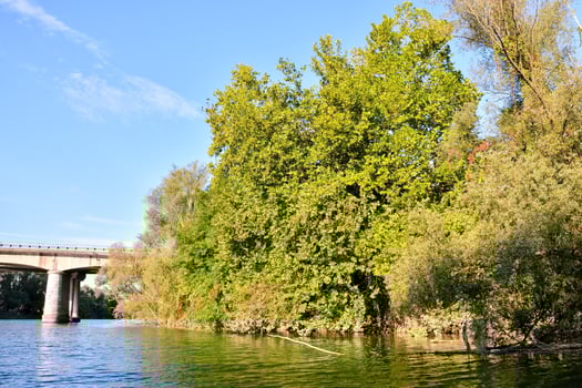 Scenic river view photo