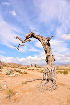 Scenic desert view photo