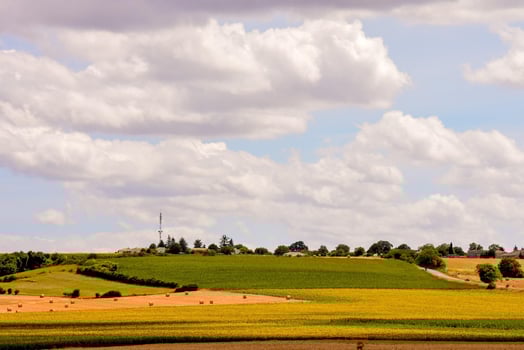 Landscape in summer photo